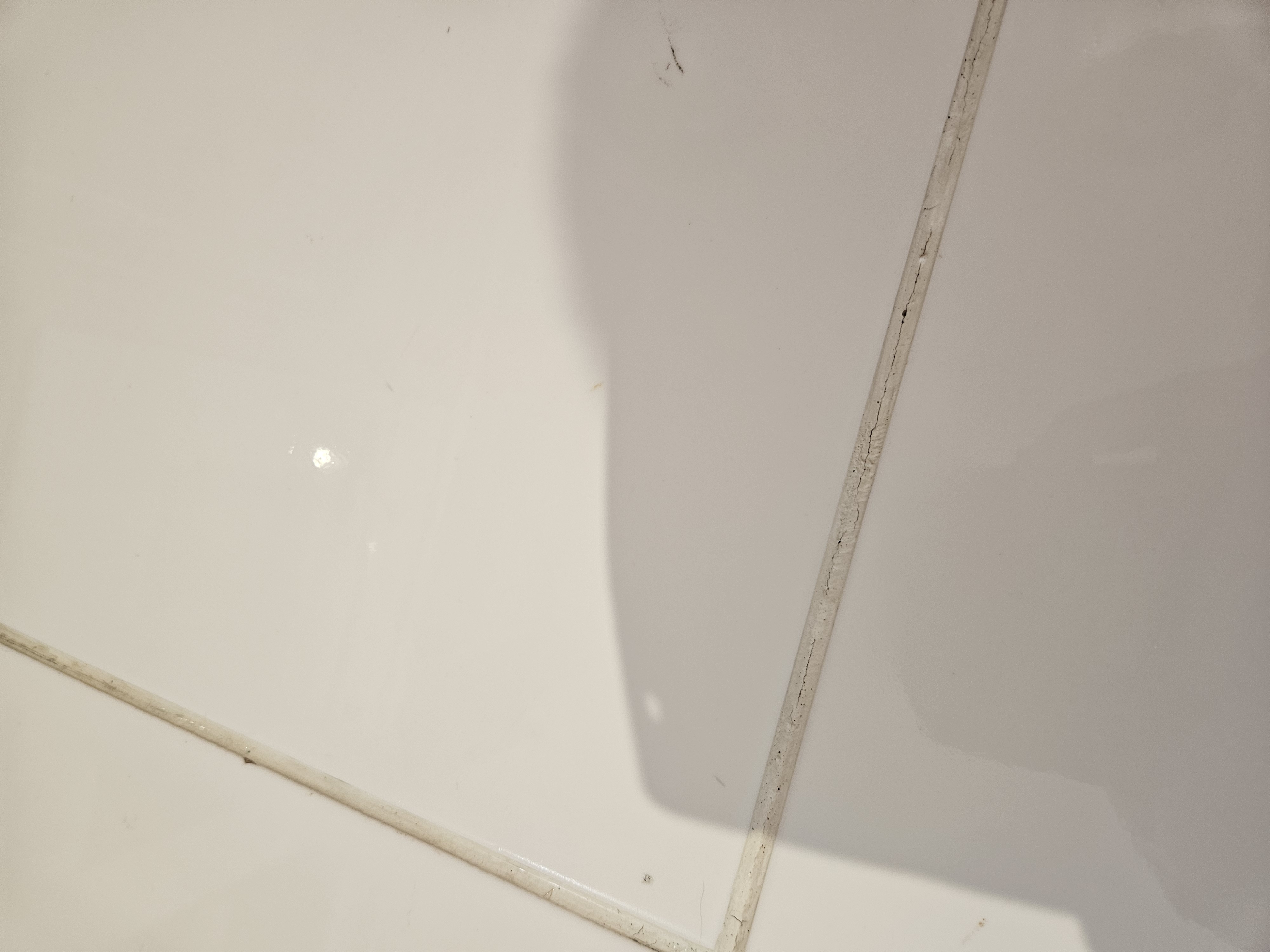 Tile and grout after professional restoration