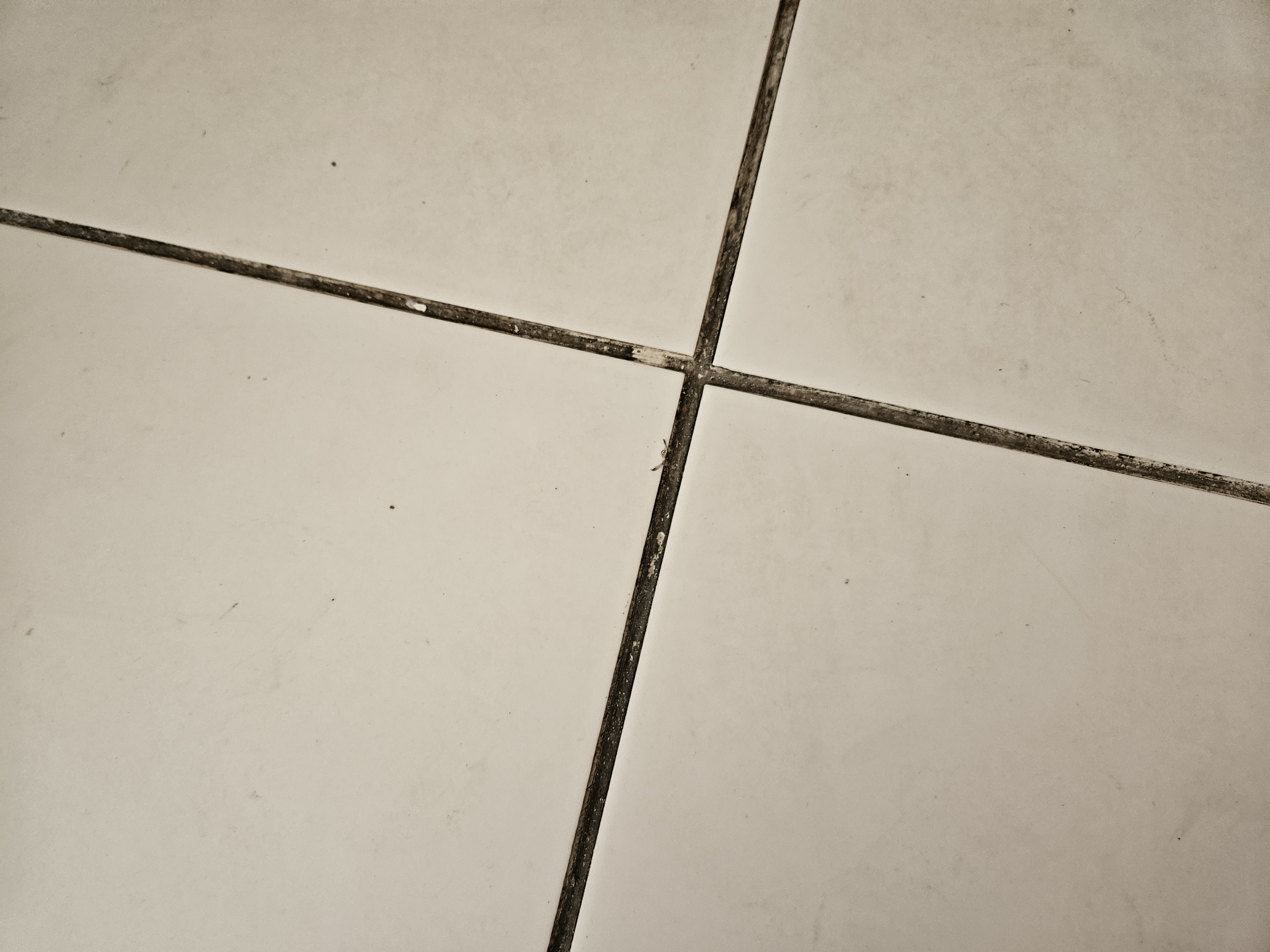 Tile and grout before cleaning - heavily stained