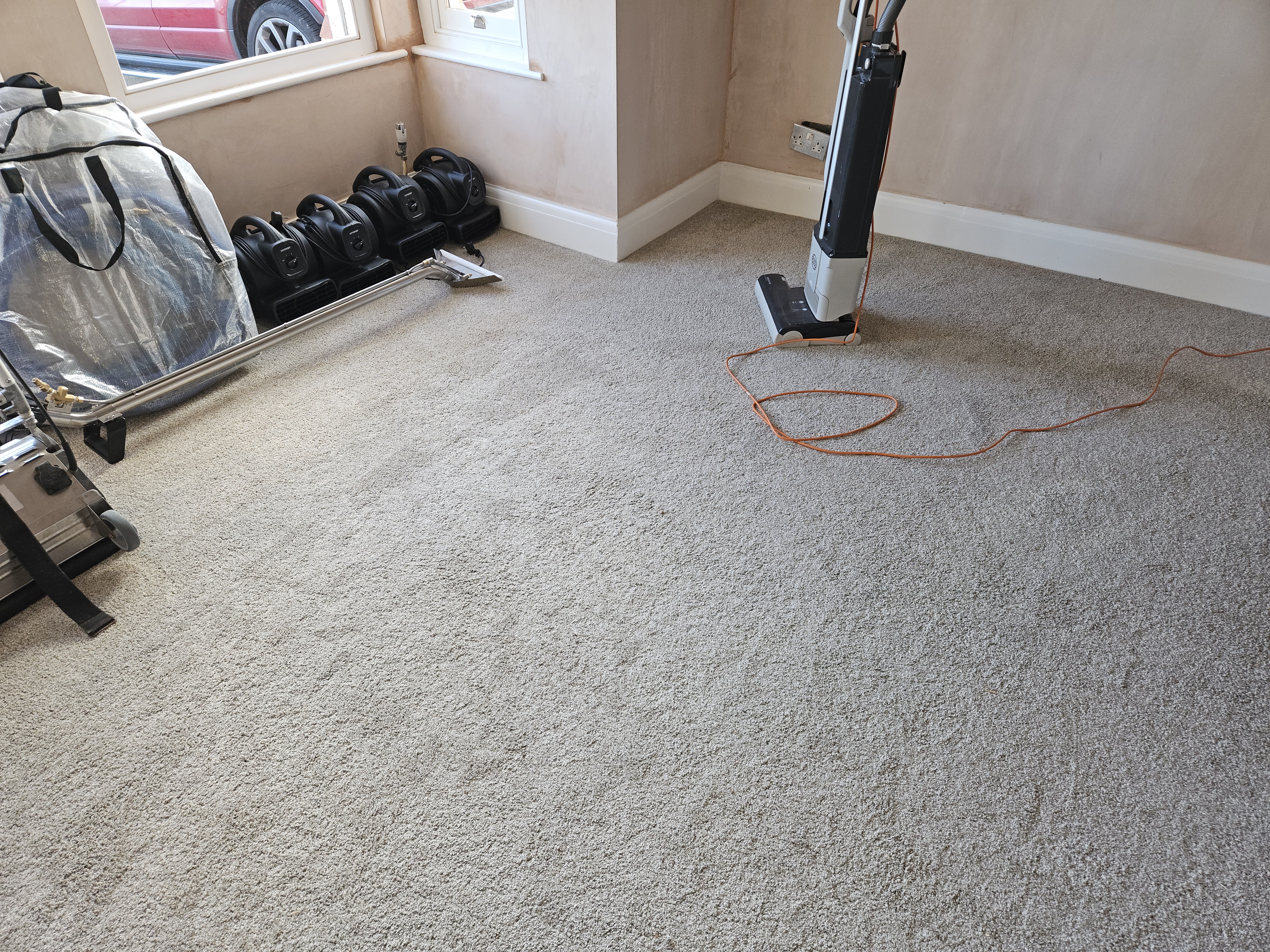 Carpet before cleaning - plaster dust and renovation debris