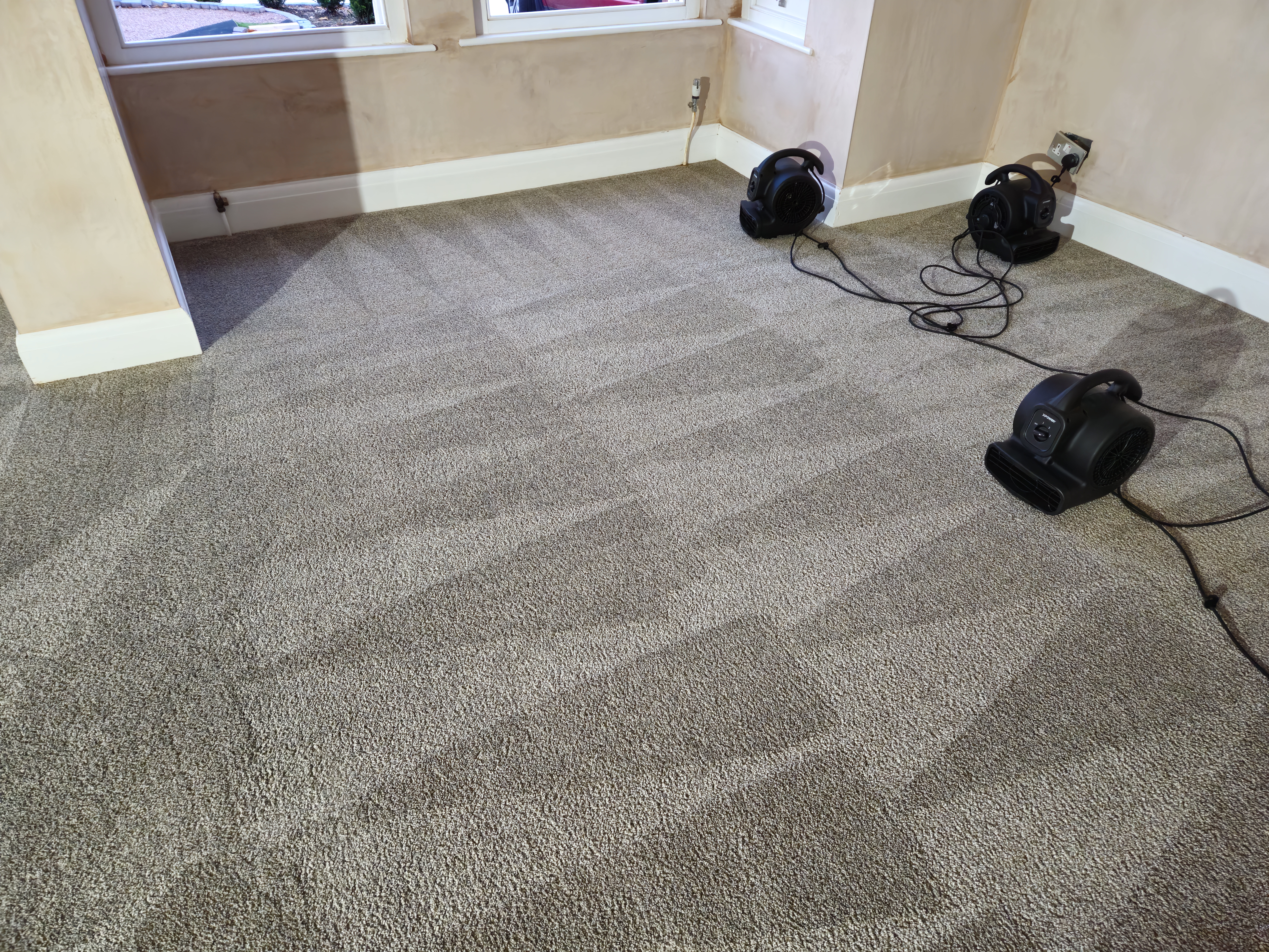 Professional cleaning results showing before and after